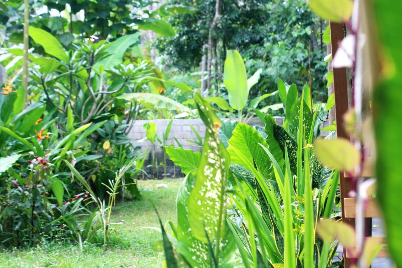 Jungle House - Surf & Stay Pulukan Bagian luar foto