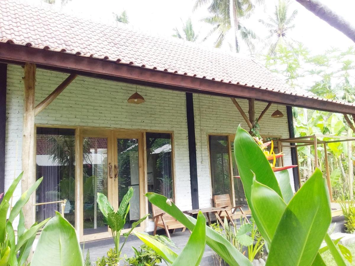 Jungle House - Surf & Stay Pulukan Bagian luar foto