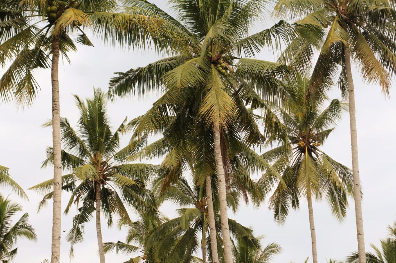 Jungle House - Surf & Stay Pulukan Bagian luar foto
