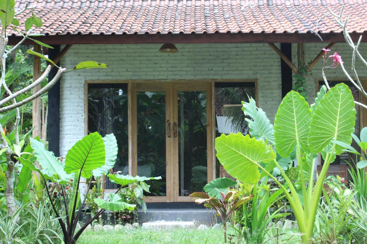 Jungle House - Surf & Stay Pulukan Bagian luar foto