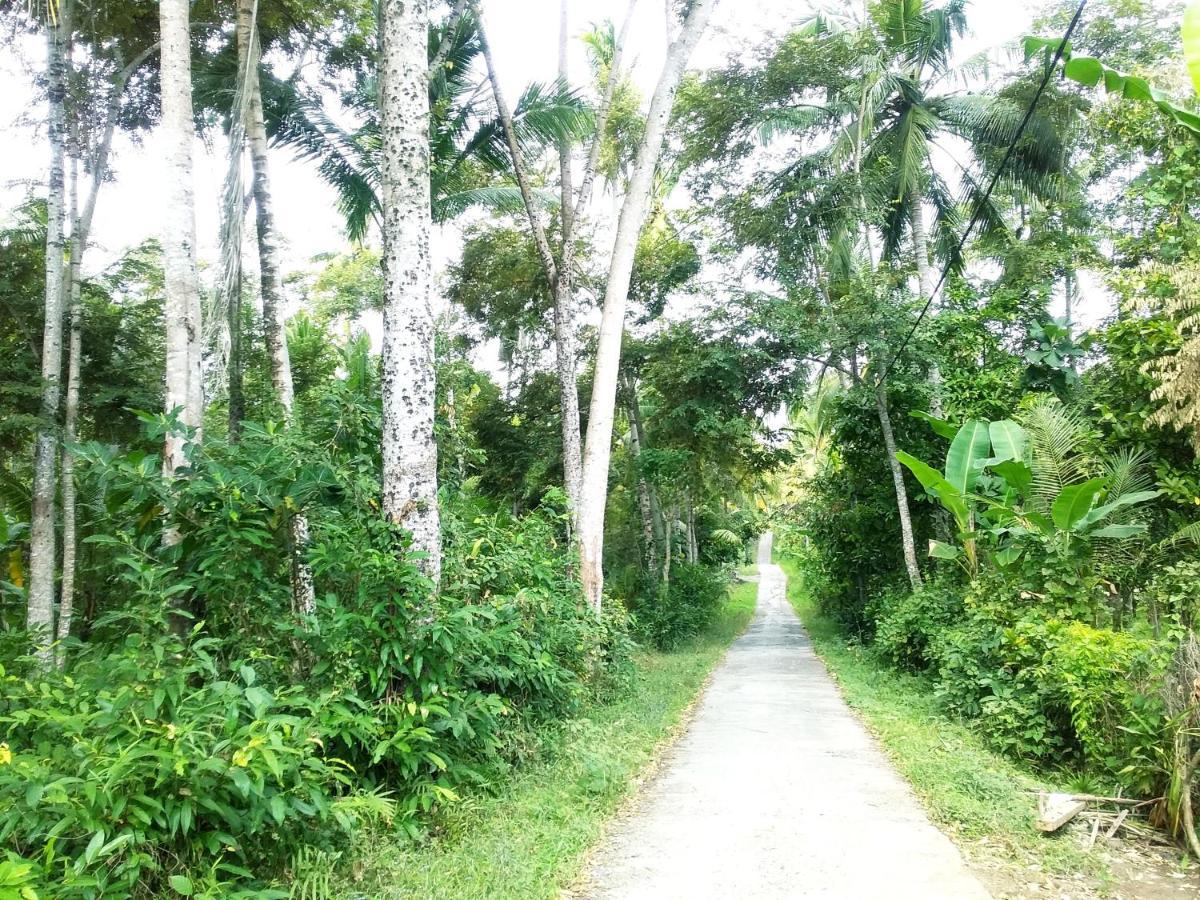 Jungle House - Surf & Stay Pulukan Bagian luar foto