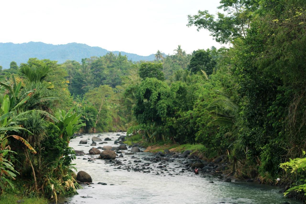 Jungle House - Surf & Stay Pulukan Bagian luar foto