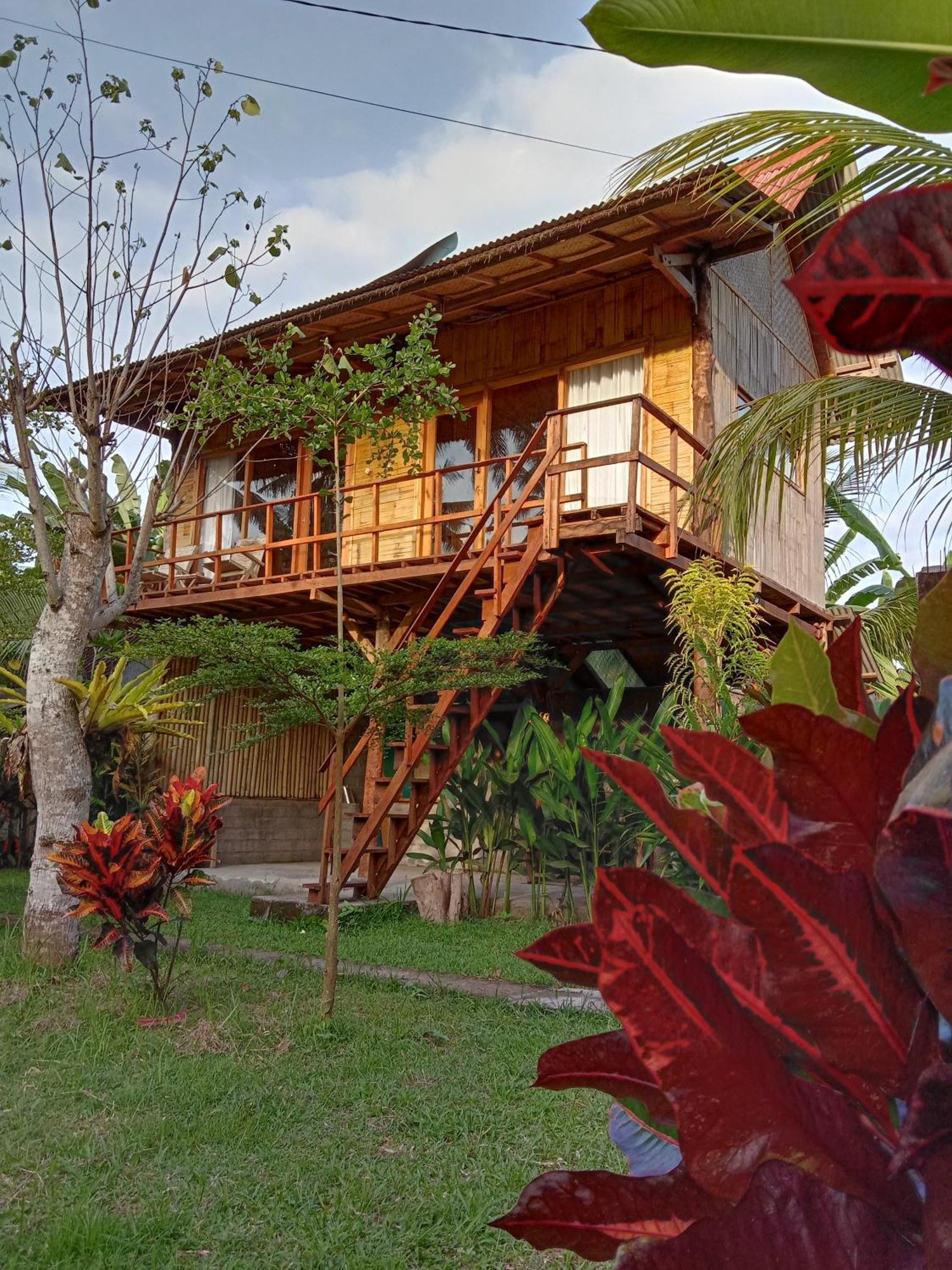 Jungle House - Surf & Stay Pulukan Bagian luar foto